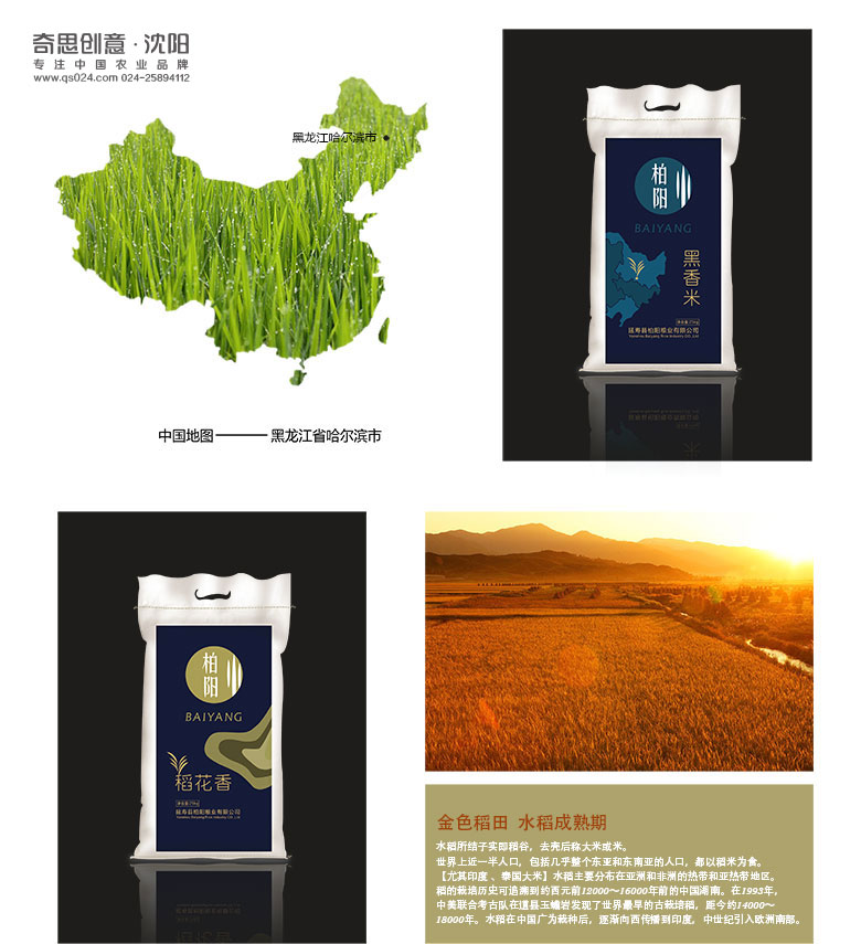 延寿县柏阳粮米有限公司，大米标志设计，大米VIS设计，沈阳奇思创意
