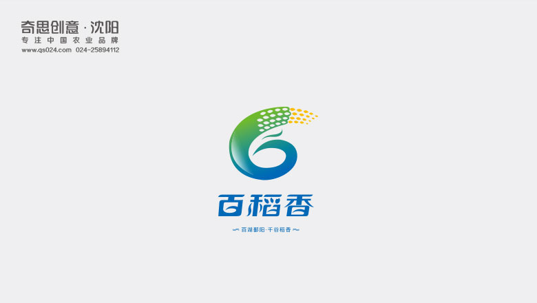 江西华字米业有限公司，大米logo设计，大米包装设计，大米策划